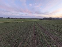 Działka rolna Lubawa. Zdjęcie 4