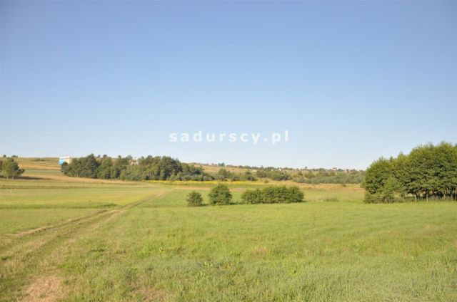 Działka inwestycyjna Rudno. Zdjęcie 2