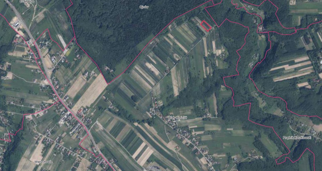 Działka rolna Biały Kościół Iwiny, ul. Iwiny. Zdjęcie 3