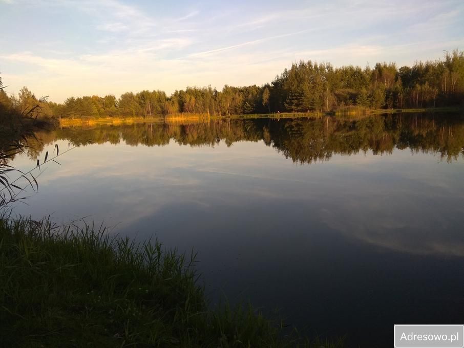 Działka rolna Jaworzno Jeleń, ul. Rozwojowa. Zdjęcie 2