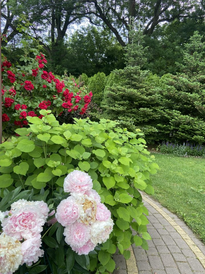 dom wolnostojący, 4 pokoje Młochów, ul. Źródlana. Zdjęcie 23