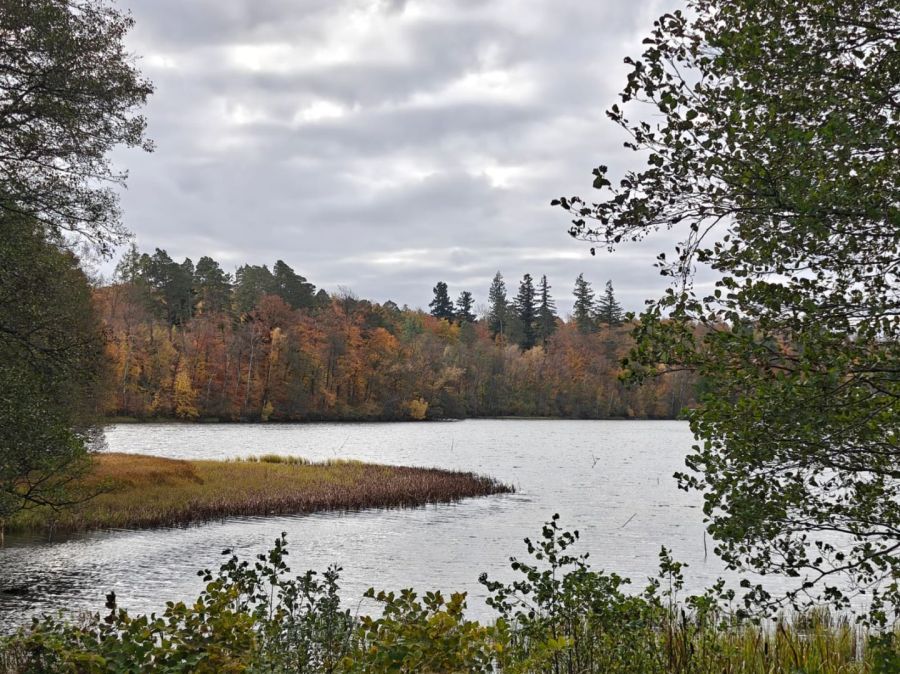 Działka budowlana Parchowo Karłowo. Zdjęcie 12