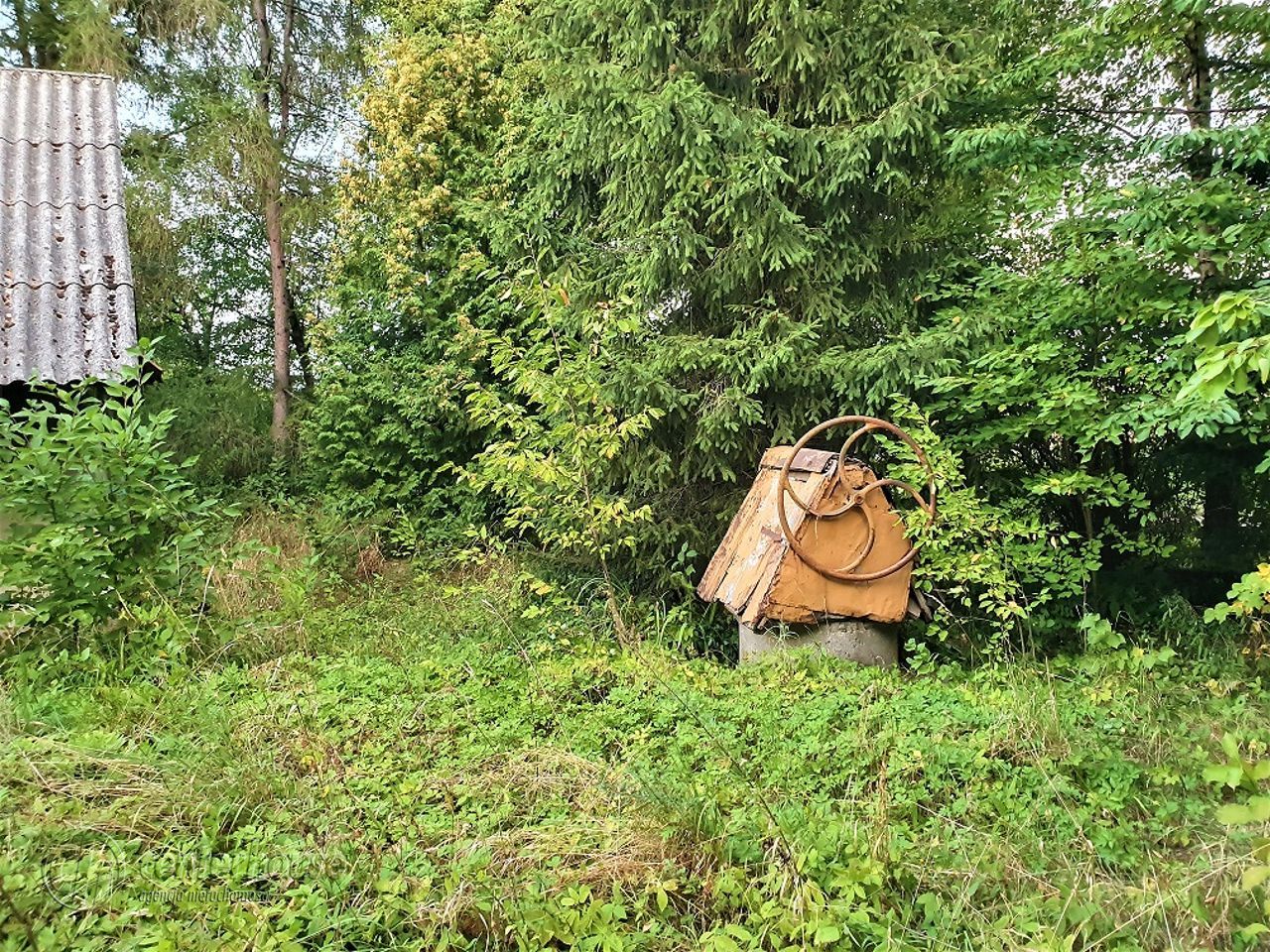Działka siedliskowa Borek Stary. Zdjęcie 4