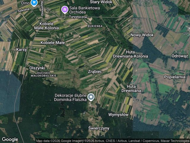 Działka leśna Zrąbiec. Zdjęcie 1