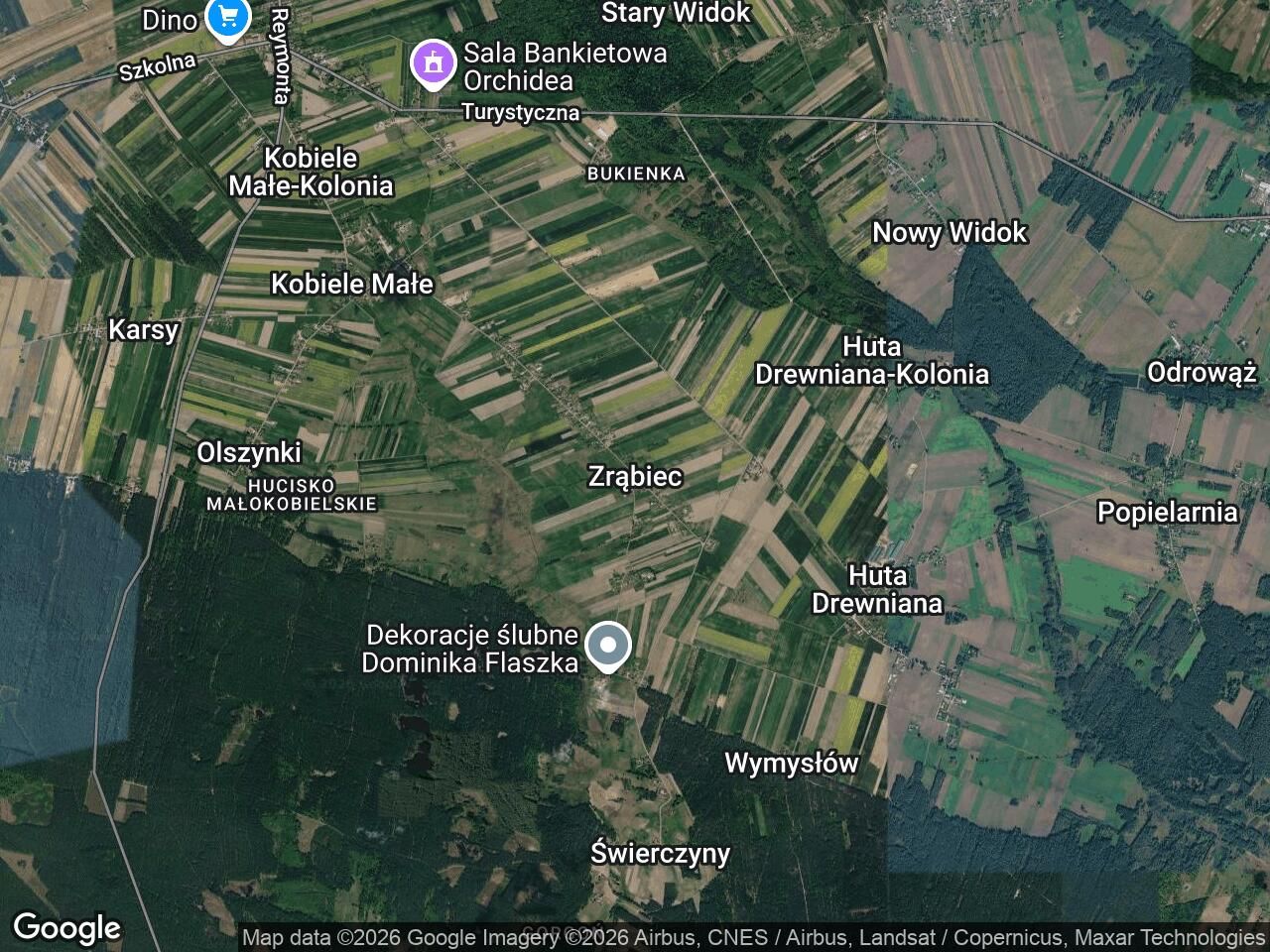 Działka leśna Zrąbiec. Zdjęcie 1