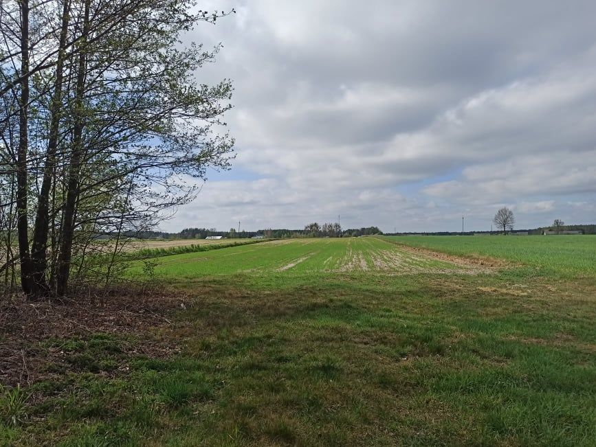 Działka rolno-budowlana Trzcianka. Zdjęcie 2