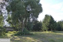 Działka rekreacyjna Sosnowo. Zdjęcie 4