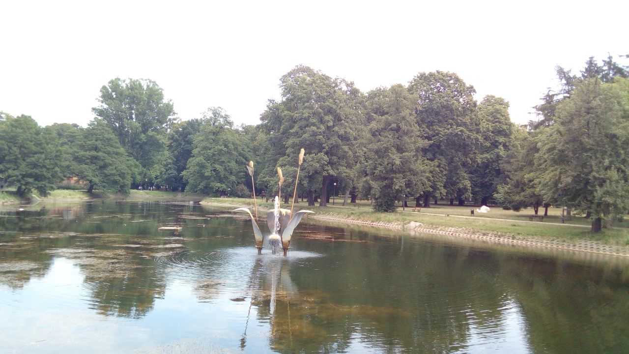 Pokój Łódź Górna, ul. Stocka. Zdjęcie 4