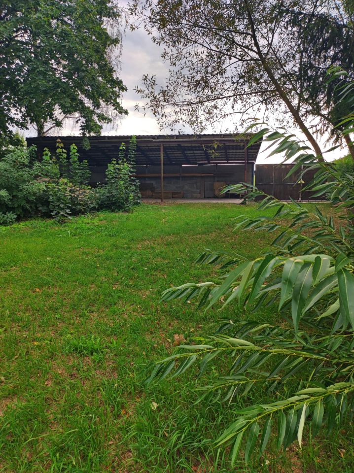 dom wolnostojący, 3 pokoje Bolimów, ul. Skierniewicka. Zdjęcie 3