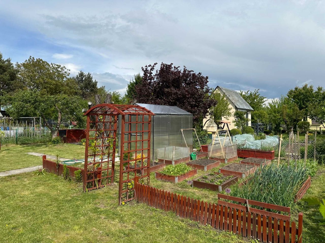 Działka rod Grzybiany. Zdjęcie 3