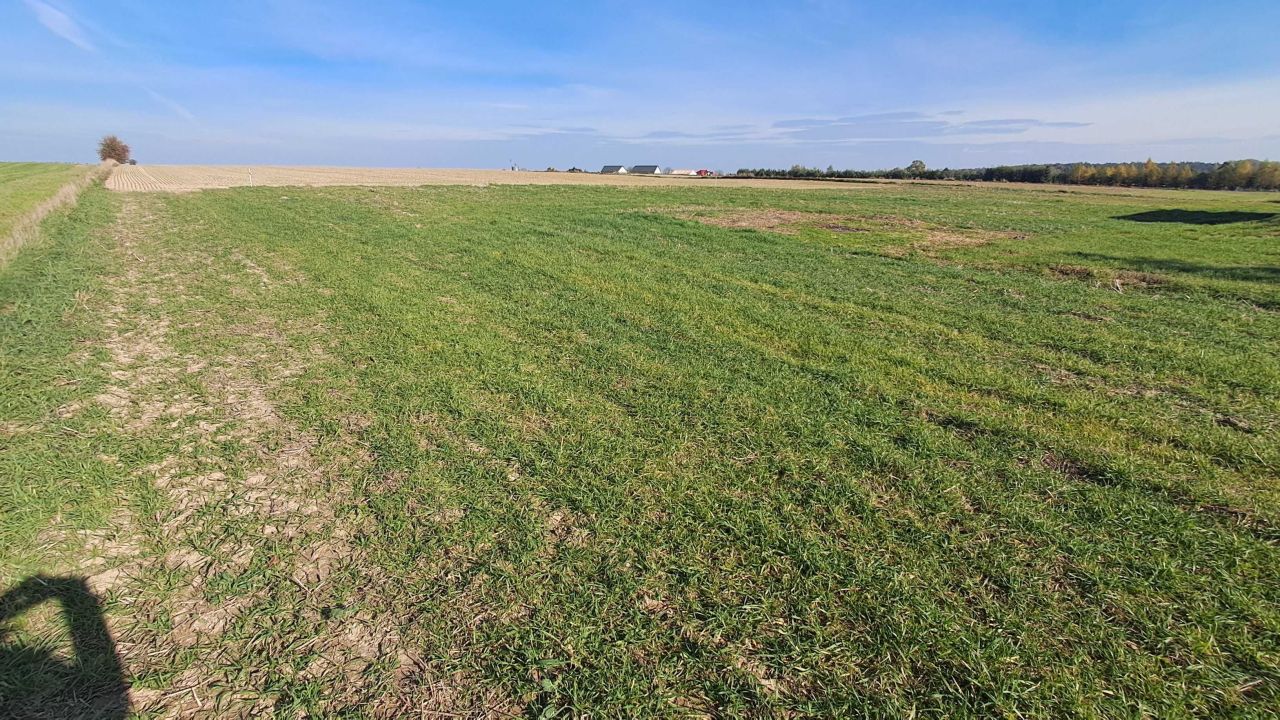 Działka budowlana Jabłonna-Majątek. Zdjęcie 2