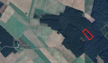 Działka leśna Centawa