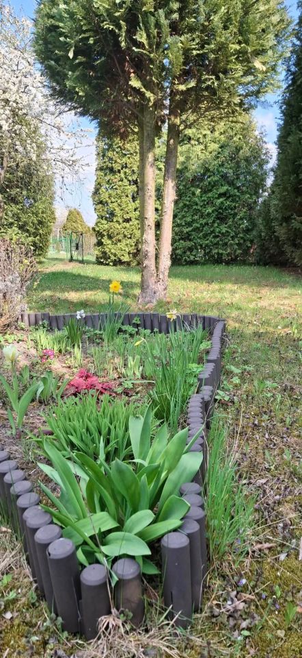 Działka rod Lubliniec, ul. Strzelecka. Zdjęcie 3