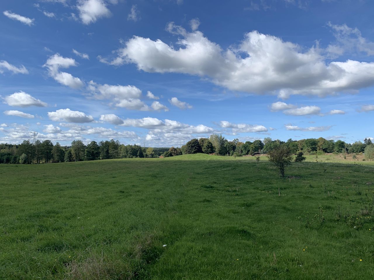 Działka budowlana Zalbki. Zdjęcie 9