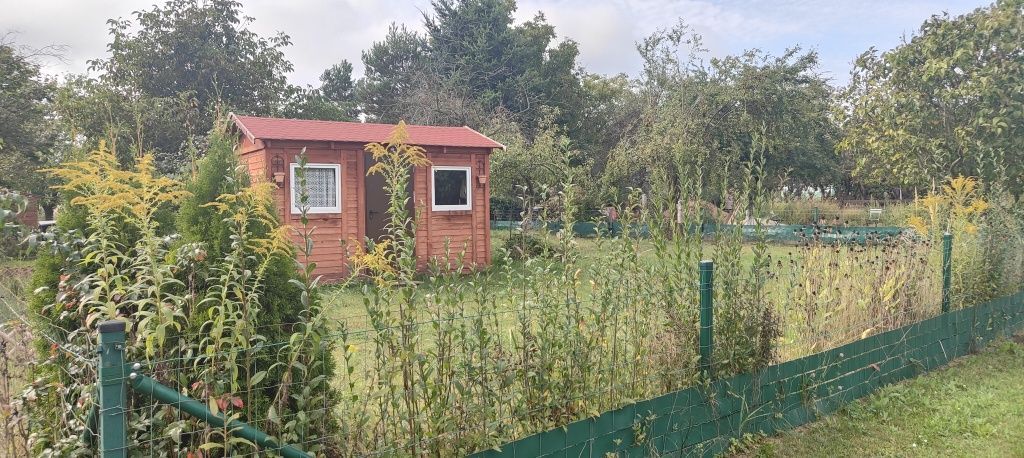 Działka rod Wrocław Stare Miasto