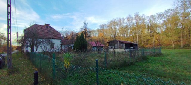 dom wolnostojący, 4 pokoje Zasieki. Zdjęcie 4