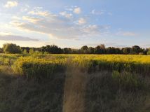 Działka rolno-budowlana Karwacz, ul. Międzyrzecka. Zdjęcie 1