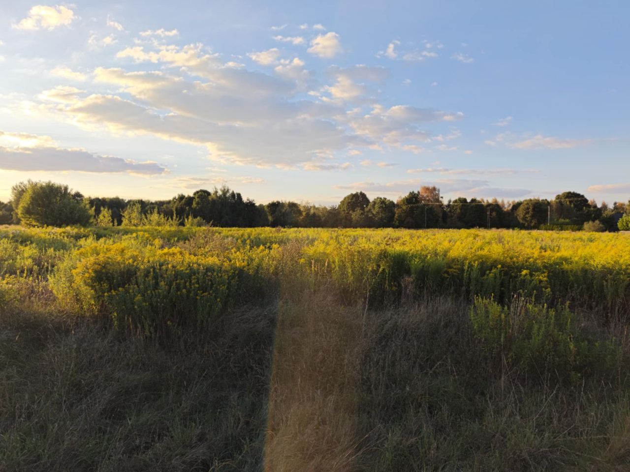 Działka rolno-budowlana Karwacz, ul. Międzyrzecka. Zdjęcie 2