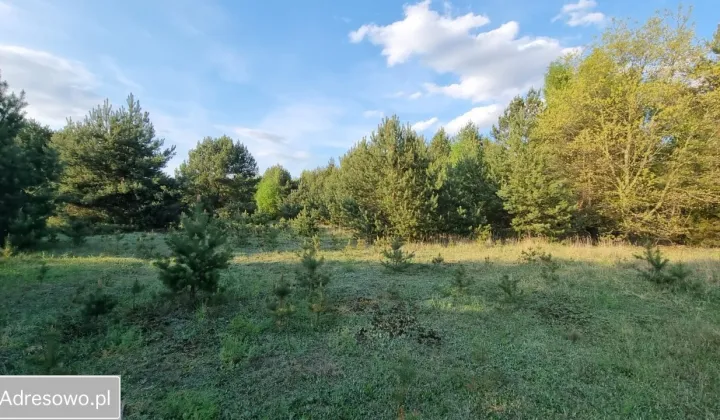Działka budowlana Powązki, ul. Jarzębinowa