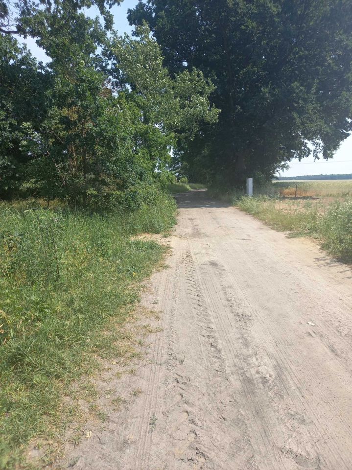 Działka budowlana Przemocze. Zdjęcie 7