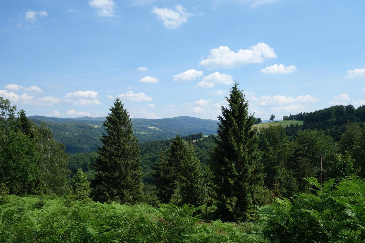 Działka inwestycyjna Ustroń Dobka, ul. Orłowa. Zdjęcie 8