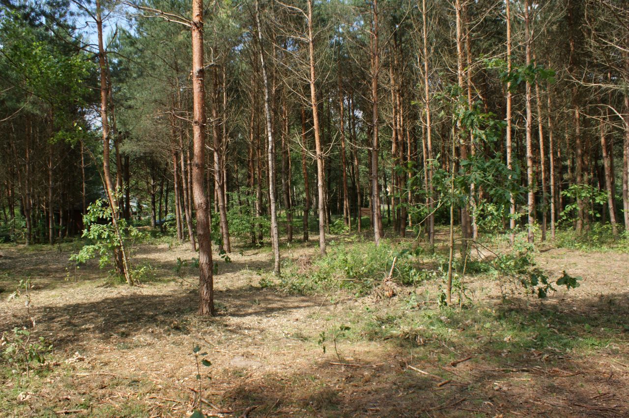 Działka rekreacyjna Czerwona Wola Myszkówka. Zdjęcie 24