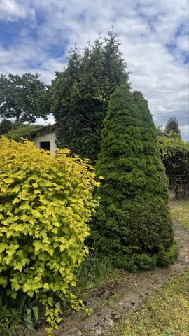 Działka rod Chrzanów. Zdjęcie 1