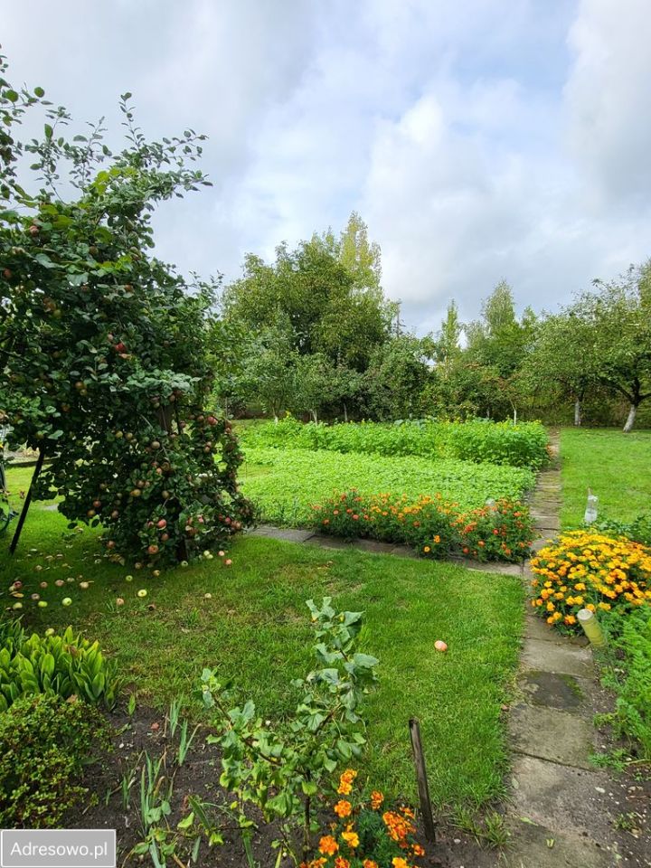 dom wolnostojący, 6 pokoi Kluczbork. Zdjęcie 9