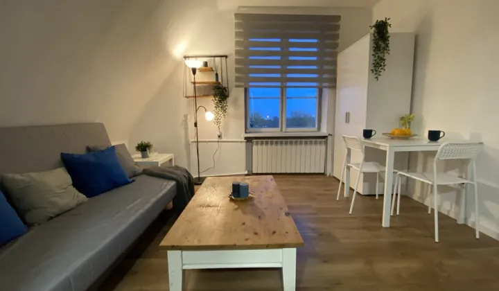 Mieszkanie 1-pokojowe Warszawa Śródmieście