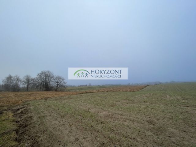 Działka budowlana Dobrzewino. Zdjęcie 4