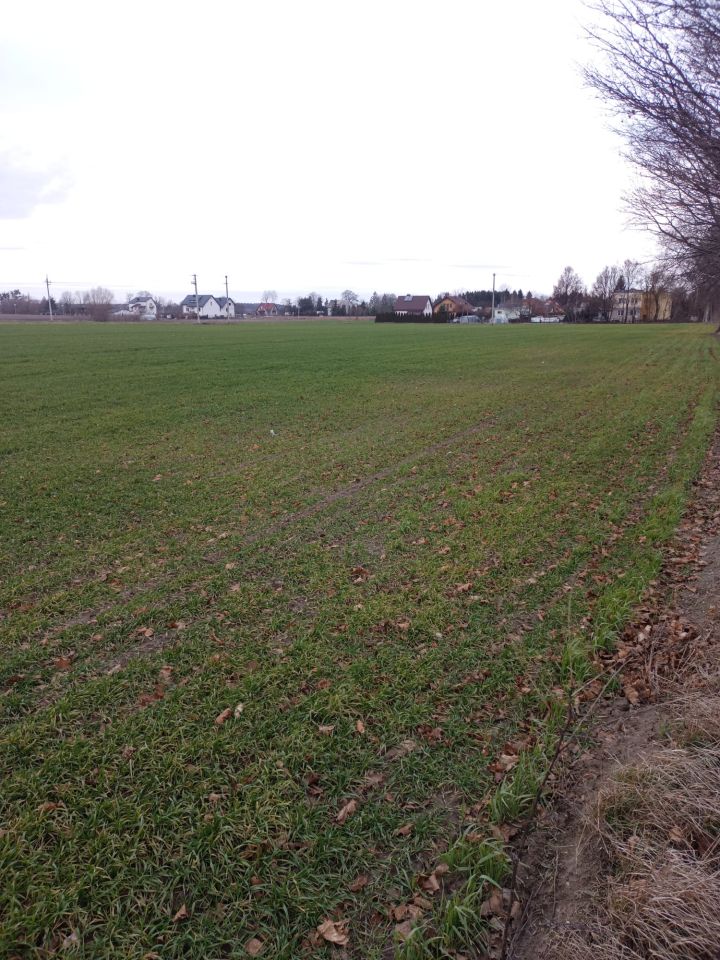 Działka budowlana Winnica, ul. Warszawska. Zdjęcie 4