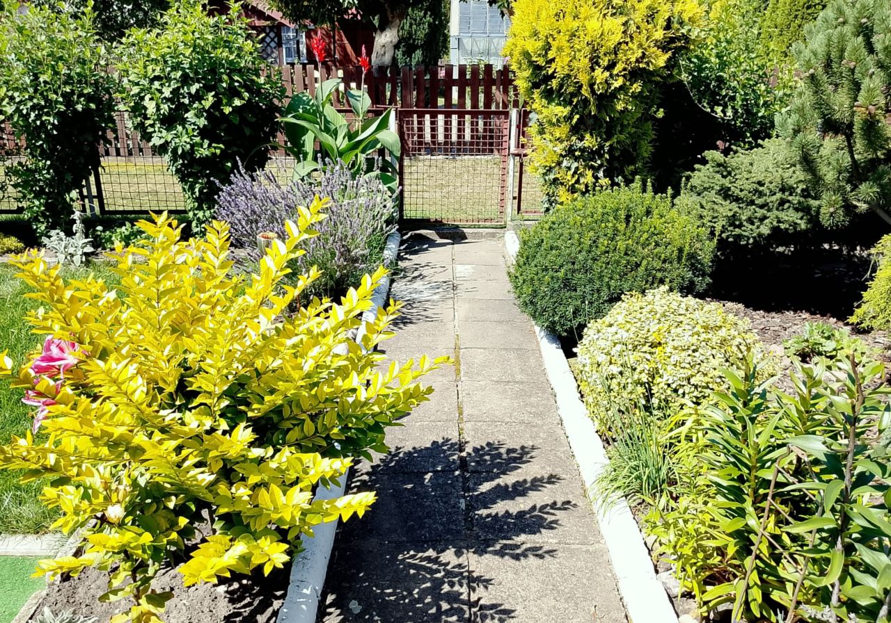 Działka rod Białystok, ul. Adama Mickiewicza. Zdjęcie 5