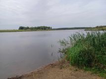 Działka budowlana Drzązna