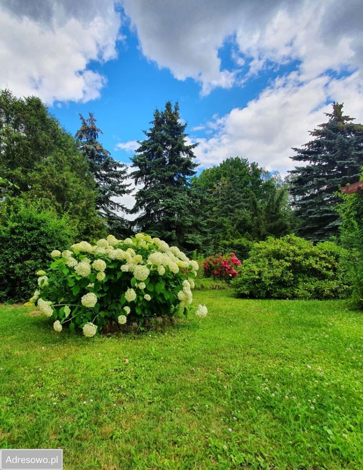 Działka rod Okołowice. Zdjęcie 6