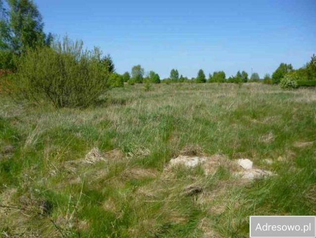 Działka budowlana Osieki. Zdjęcie 1