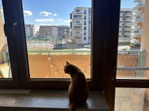 Mieszkanie 2-pokojowe Ostrołęka Centrum, ul. Bohaterów Warszawy. Zdjęcie 4