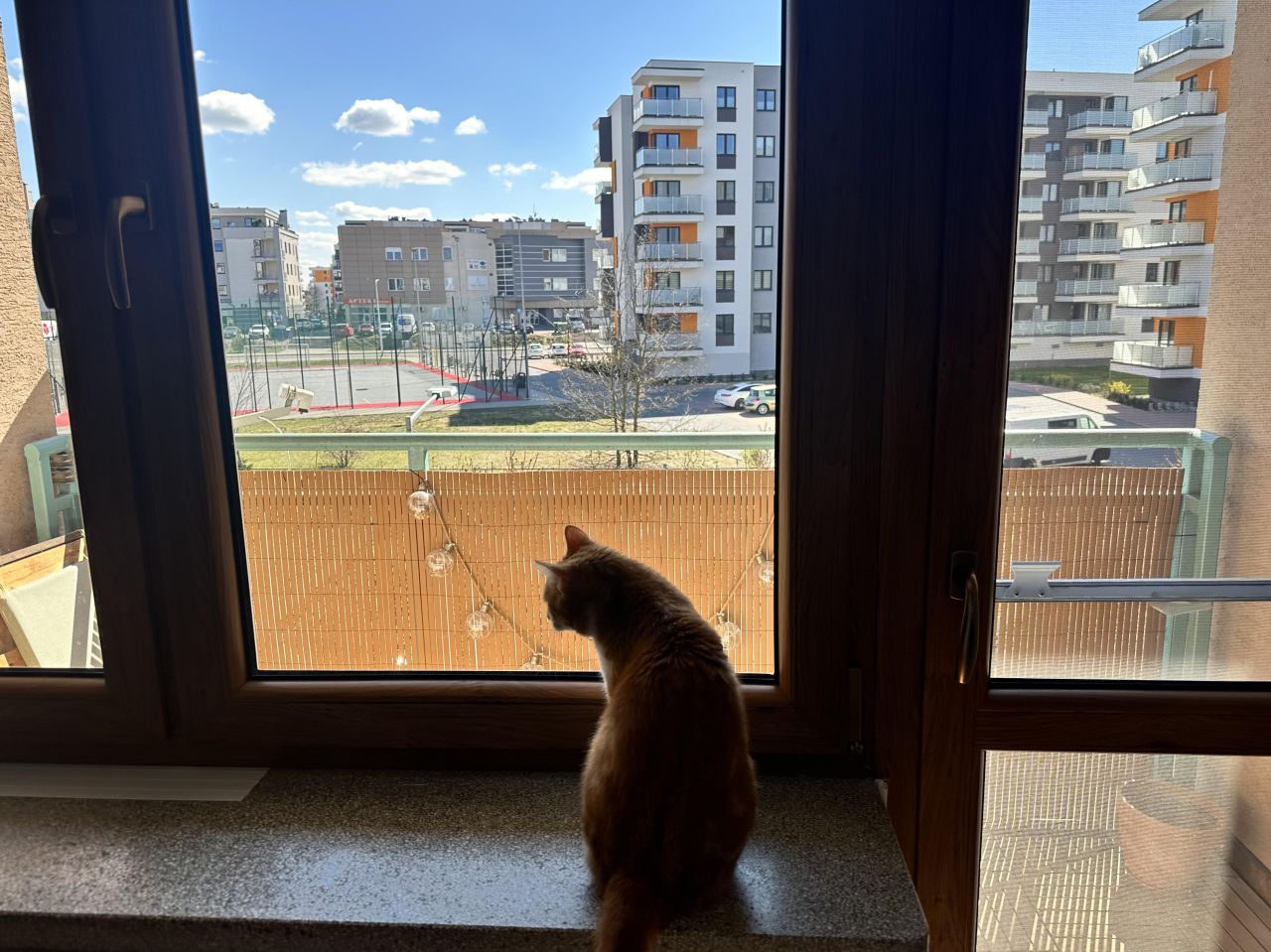 Mieszkanie 2-pokojowe Ostrołęka Centrum, ul. Bohaterów Warszawy. Zdjęcie 5