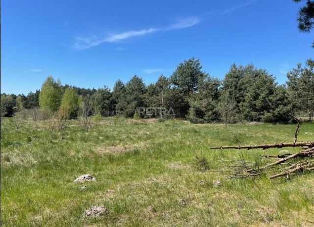 Działka inwestycyjna Węgrów, ul. Miedzanka. Zdjęcie 4