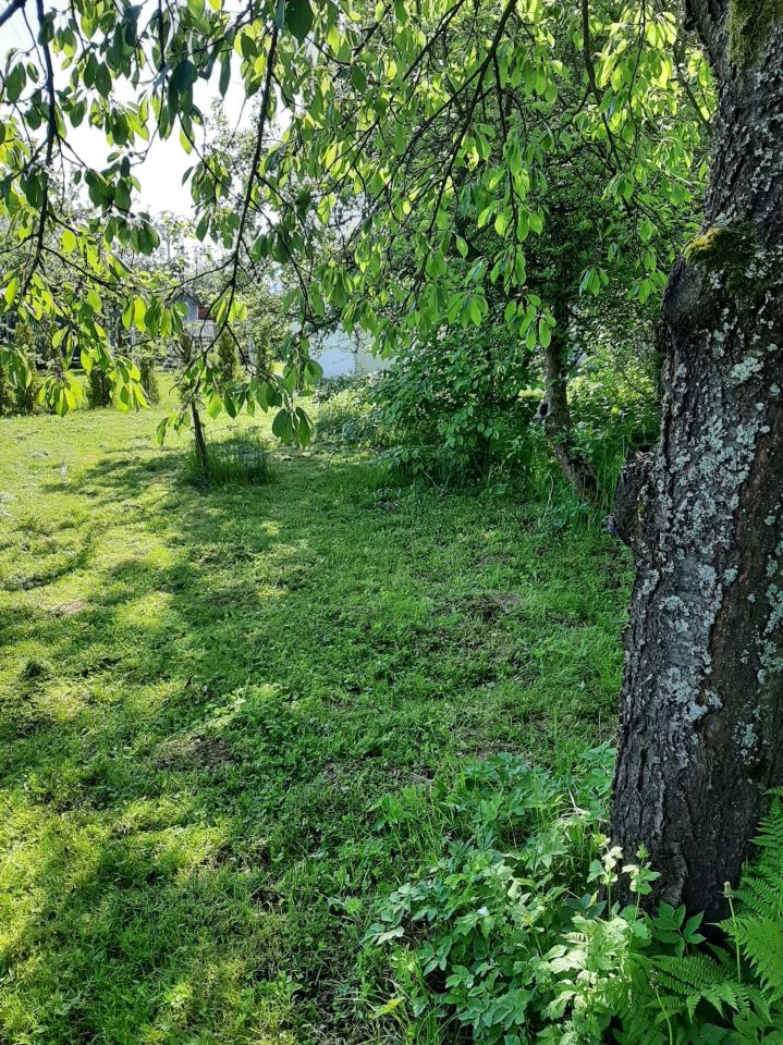 Działka rod Nowy Sącz. Zdjęcie 6