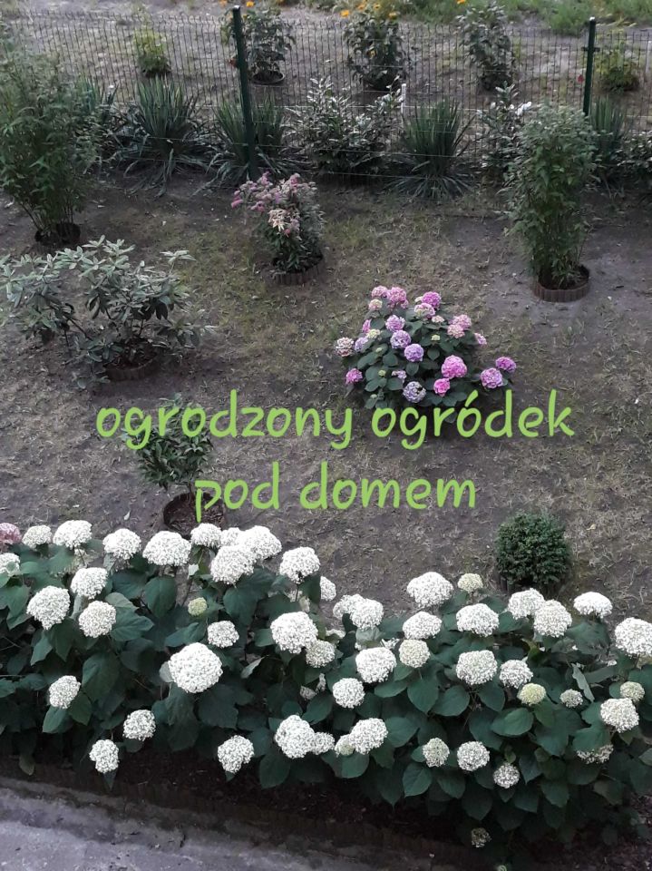 Mieszkanie 2-pokojowe Legnica, ul. Lotnicza. Zdjęcie 8