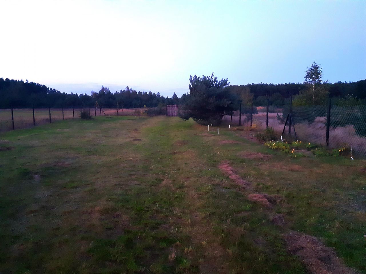 Działka rolna Stanisławowo. Zdjęcie 5