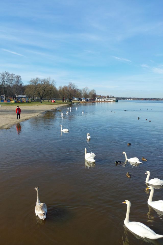 Działka budowlana Nieporęt, ul. Rumiankowa. Zdjęcie 4