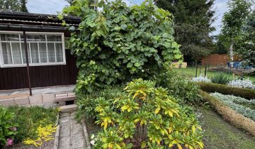 Działka rod Łódź Widzew, ul. Przędzalniana