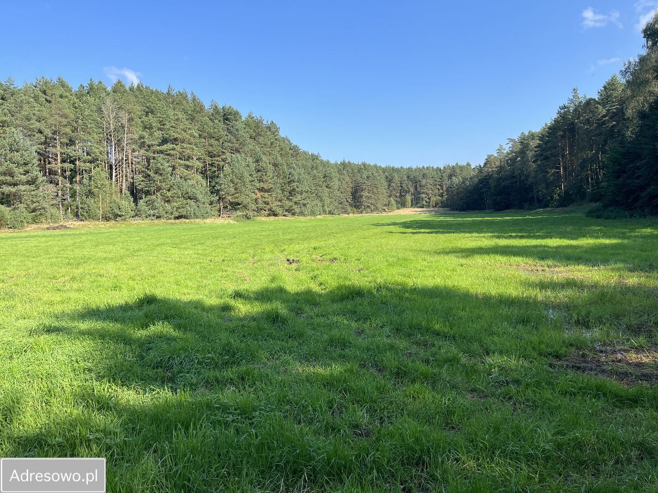 Działka rolna Orle, ul. Łąkowa. Zdjęcie 9