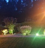 Działka rod Wudzyn. Zdjęcie 3