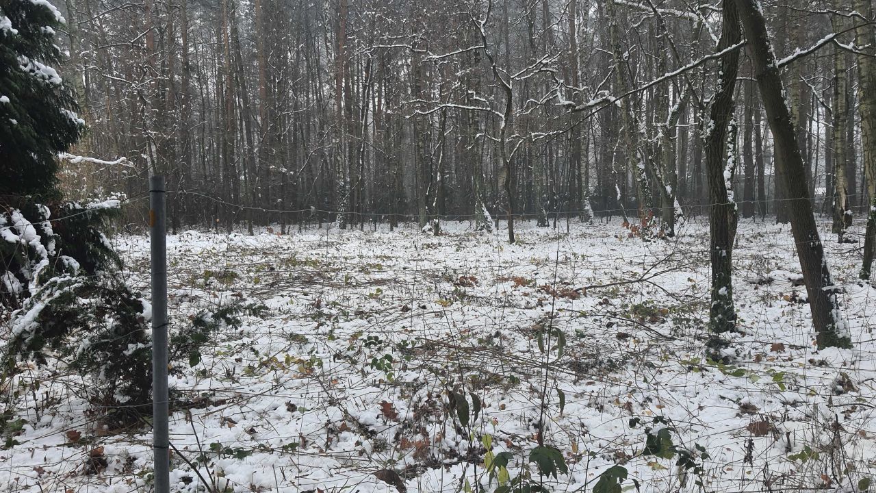 Działka budowlana Zofiówka, ul. Cienista. Zdjęcie 5