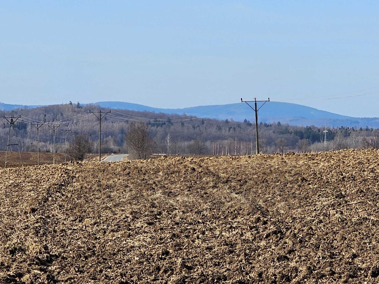 Działka budowlana Przedborowa. Zdjęcie 4