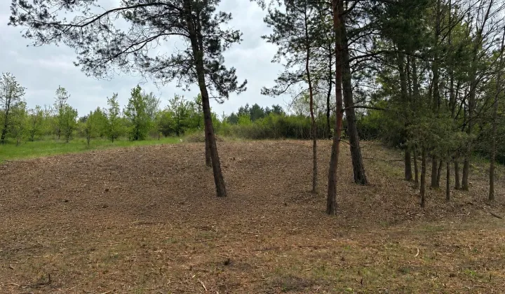 Działka budowlana Brudzów, ul. Floriańska