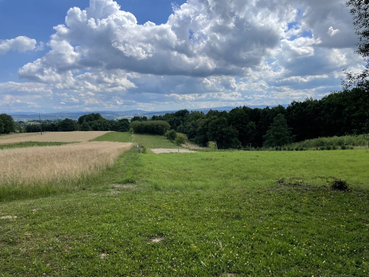 Działka budowlana Bierówka, brak. Zdjęcie 4