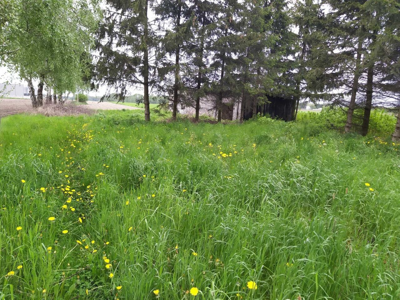 Działka inwestycyjna Żuromin, ul. Żeromskiego. Zdjęcie 3